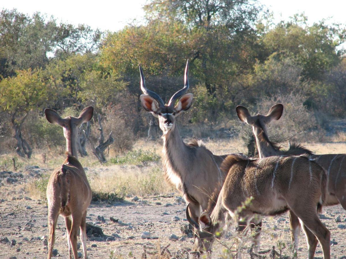 Kalkfontein Guestfarm Grootfontein Exterior photo